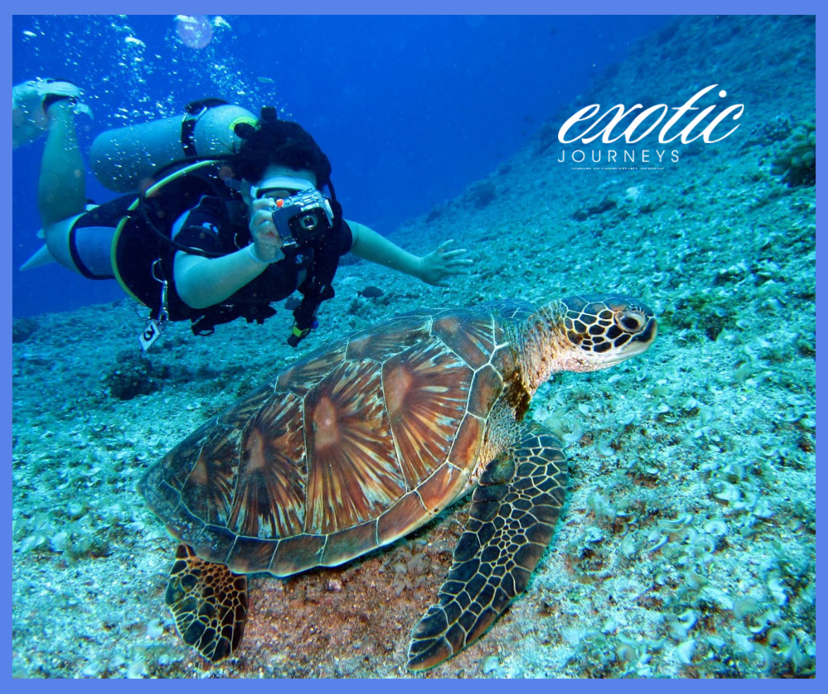 The Arabian Sea, Muscat, the capital city of Oman,