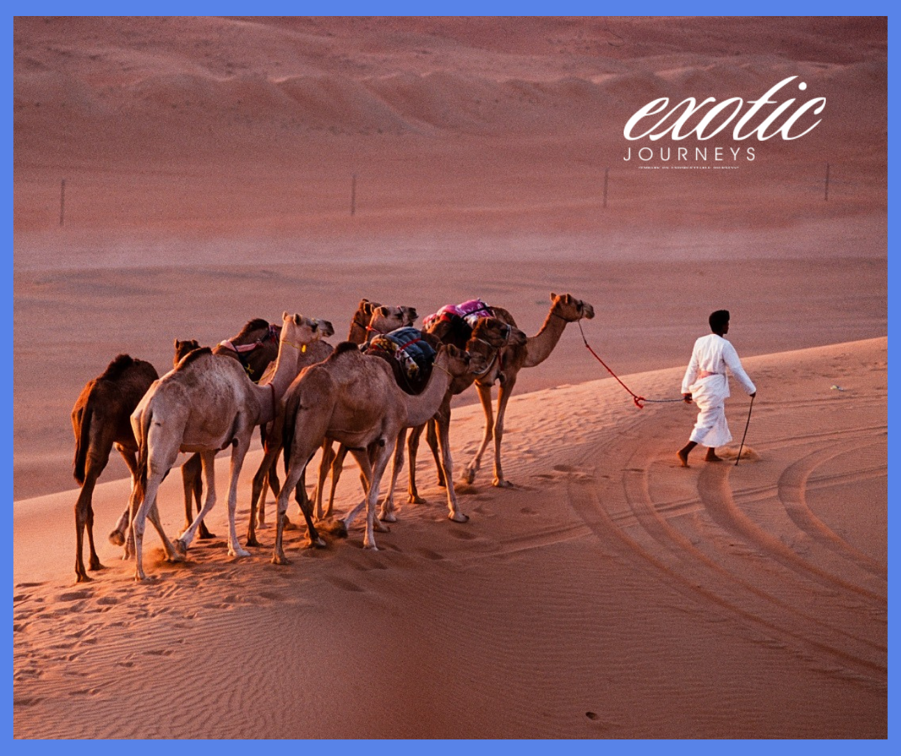 Nizwa, A historic city nestled in the heart of Oman